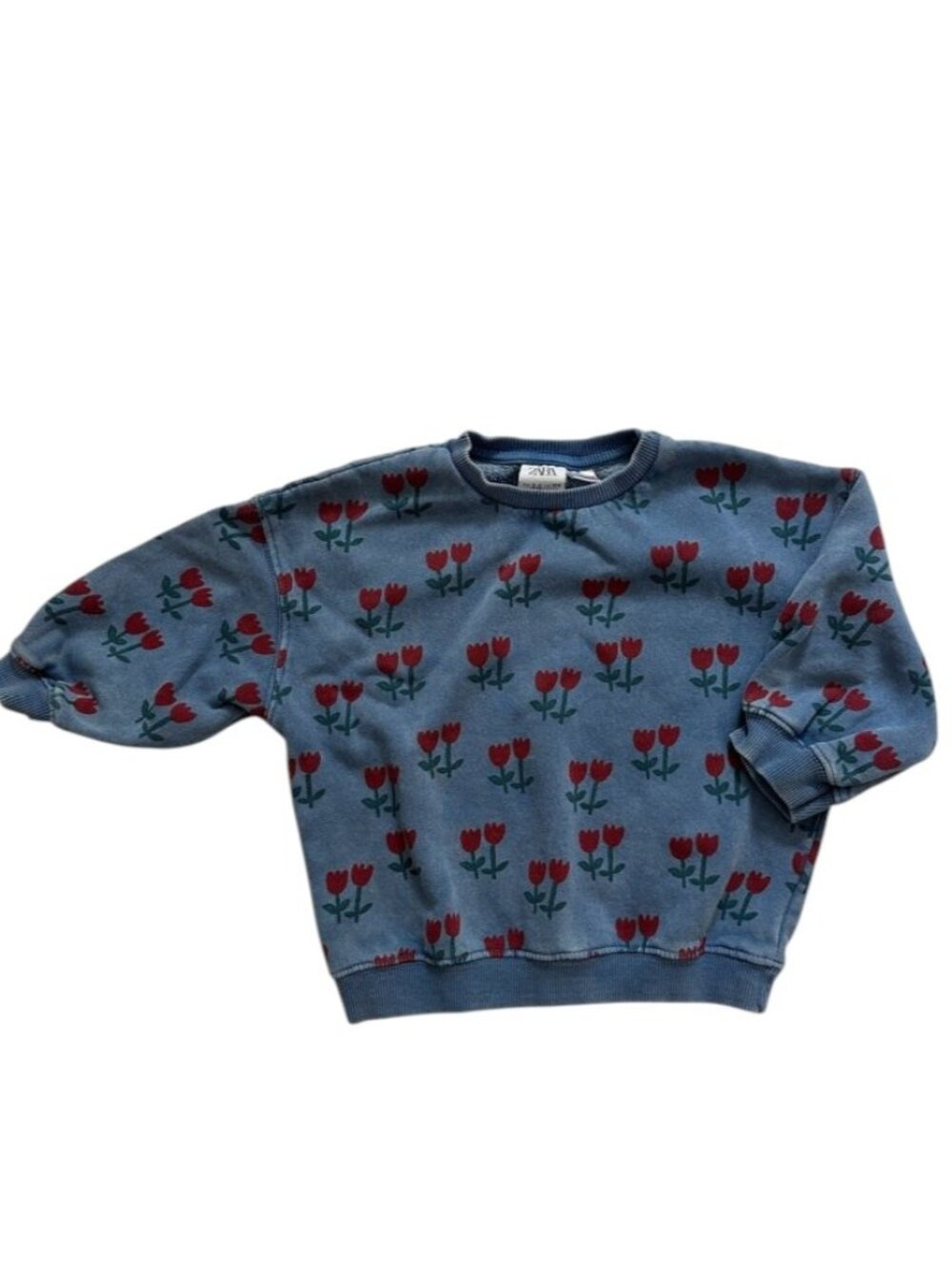 Zara Girls Blue Red Tulip Print Sweatshirt Size 2-3Y
